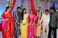 Gopichand Malineni Wedding Reception Gallery